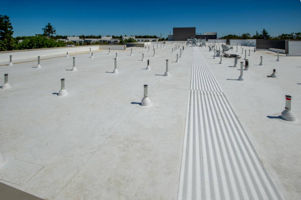 Best Metal Roofing Installation  in Robesonia, PA